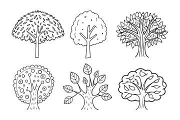 Tree Collection in Graphic Style: A collection of line art trees, each with a distinct style and form, showcasing the diversity of arboreal beauty.