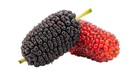 Isolated Mulberries