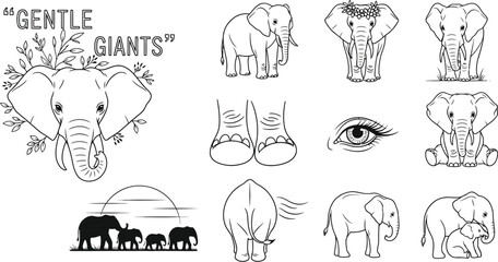 Fototapeta premium Vector art of collection of elephant illustrations showcasing various poses and details, including a family silhouette at sunset