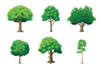 Fototapeta premium Variety of Trees: Showcasing a collection of diverse tree species, this image is a celebration of the natural world's arboreal diversity, perfect for illustrating the beauty of nature.