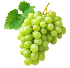 Fresh green grapes with leaf isolated on white background for healthy eating concepts