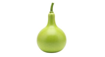 Isolated Bottle Gourd