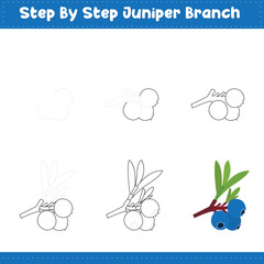 Step by step drawing Juniper Branch Food stock. vector illustration