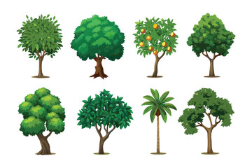 Various Trees in Vector Illustration: A set of trees featuring different shapes and forms, showcasing the beauty and diversity of nature's greenery. Ideal for any visual media need