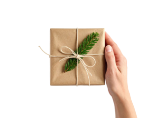 Hands Holding Eco Gift Box with Fir Branch, Isolated on Transparent Background