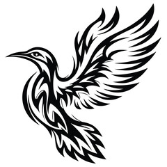 Fototapeta premium Bird spreads its wings, displaying a striking pattern in black and white