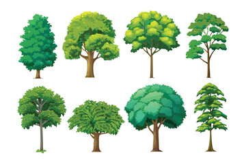 Diverse Trees: A collection of eight varied trees. Each one features unique leaf forms and trunk shapes, forming a visual tapestry of arboreal diversity.