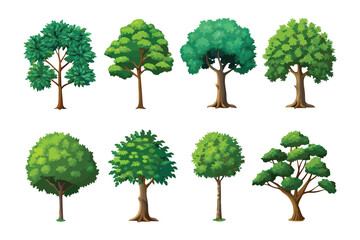 Ecology's Marvel: An array of trees stand in harmony, each leaf a testament to nature's elegance and variety, painting a vivid tableau of the verdant wilderness.