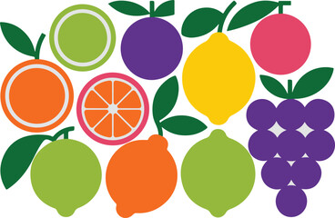 Colorful stylized fruit collection on white background
