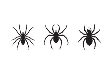 silhouette spider with small round body set on white background