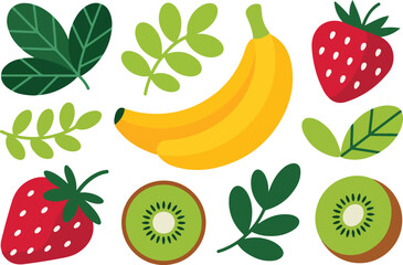 Colorful vector illustration of fruits and greenery