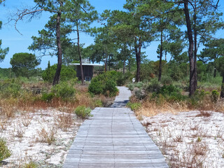 Beautiful Nature With Dunes And