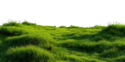 Realistic Green Grass Field PNG – Isolated on Transparent Background for Landscape Design, Nature Projects, and Outdoor Scene Creators