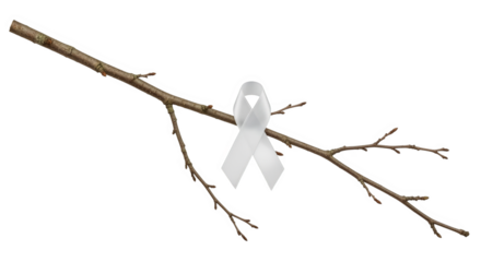 White Ribbon On Branch Loss Remembrance