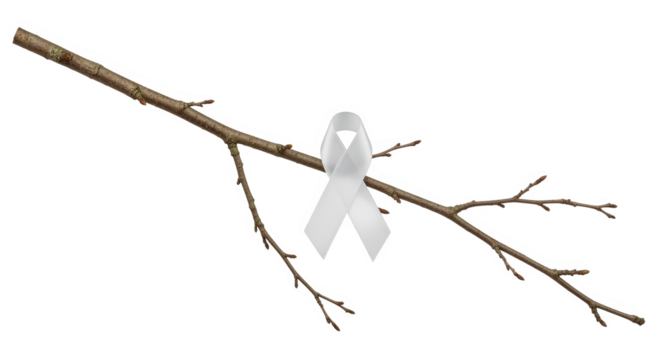 White Ribbon On Branch Loss Remembrance
