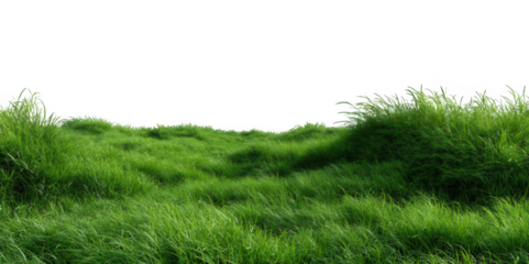 Realistic Green Grass Field PNG – Isolated on Transparent Background for Landscape Design, Nature Projects, and Outdoor Scene Creators