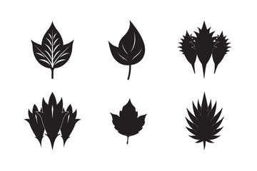 silhouette tooth leaf set