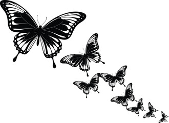 Black and white butterfly, elegant vector illustration, nature design, tattoo art, wall decor, symmetrical wings, insect graphic, creative silhouette
