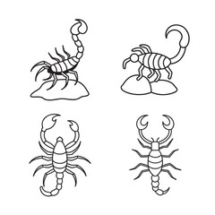 line art desert scorpion with curved tail set on the white background