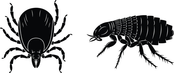 Tick and flea vector, insect anatomy, pest control, parasitic bugs, black and white illustration, educational graphic, comparison, detailed, isolated, scientific