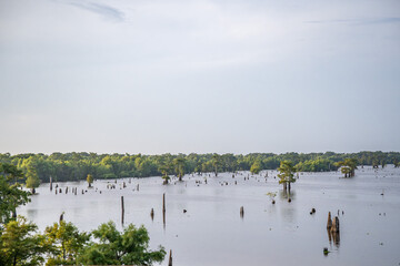 louisiana bayou