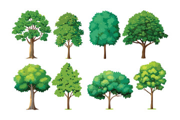 Fototapeta premium Ecosystem Showcase: A vibrant collection of various trees thrives, symbolizing the resilience and essential role in balancing the Earth's delicate ecosystem.