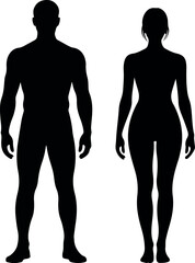 Male and Female Silhouette Comparison – Full Body Shape Vector