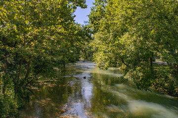 Spring branch in the ozarks of Missouri