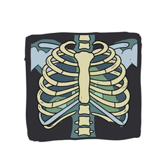 Ribcage anatomy illustration in blue and green on dark background  