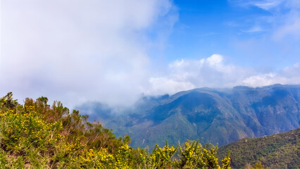 The island exhales — and clouds drift like myths across the green skin of Madeira’s peaks. Where the air thickens into something almost visible.