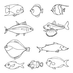 A set of hand drawn cartoon style sea fish outline drawings.