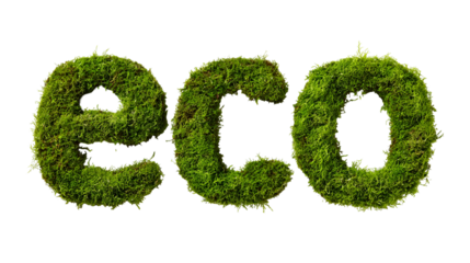 The word eco formed from green moss isolated on transparent background
