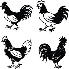 Chicken Continuous Line Drawing with Editable Stroke
