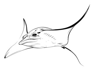 A majestic eagle ray glides gracefully through the ocean depths, its wings a testament to the wonders of marine life. Evoking a sense of wonder and appreciation for the world beneath the waves.
