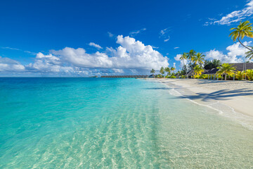 Stunning tropical beach pristine turquoise sea, soft white sand, palm trees and sunny blue sky exotic paradise island perfect for summer travel, relaxing vacation scenic coastal background. Summertime