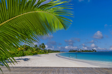 Picturesque tropical beach in Maldives with wooden pier, palm trees, clear blue sea, soft sand and...