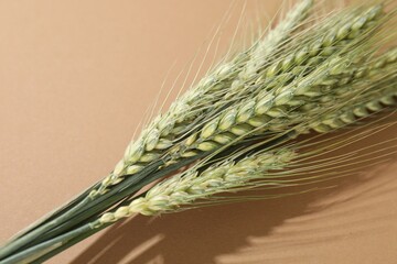 Green wheat spikes on beige background, closeup