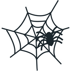 spider and web