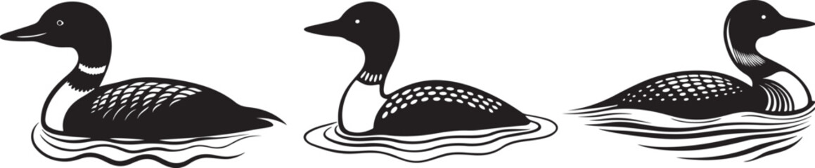 Two Loon Birds Silhouetted on Water