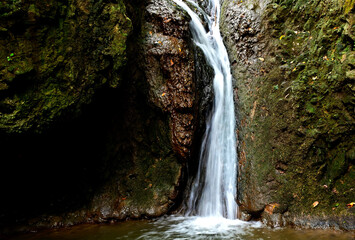 small waterfall cascading, trickling down on rocks. closeup view. lush green moss covered damp...