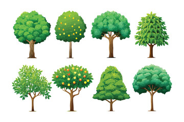 Diverse Tree Illustrations: A vibrant collection of illustrated trees showcases a variety of arboreal forms. Each unique silhouette evokes the essence of the great outdoors. 