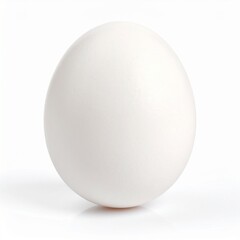 Single white egg against white background