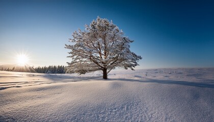 snowy tree isolated on transparent background in winter landscape