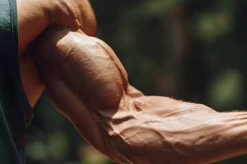 Fototapeta premium Close up of a Sweaty Muscular Male Arm Outdoors
