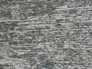 A close-up shot of a rough surface with a unique pattern in shades of grey and white. The intricate texture creates an abstract and natural feel, ideal for backgrounds, artistic projects