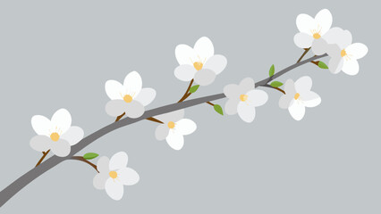 Obraz premium white flowers on white background