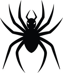 black spider silhouette on white background