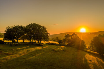 Golden sunrise over the rocky tors of Dartmoor, casting warm light across the rugged moorland and...