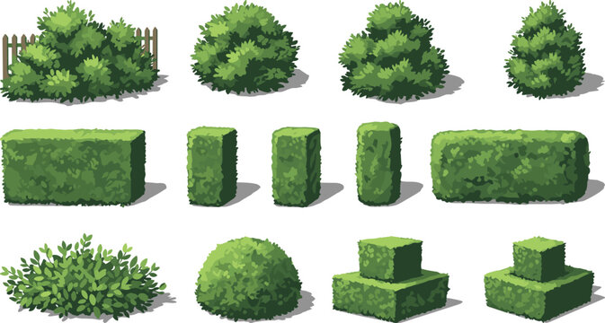 Garden bushes, trimmed hedges, landscaping design, hedge shapes, topiary art, natural foliage, garden layout, bush variety, outdoor greenery, plant styling