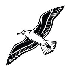 Black headed gull and eagle vector illustration flying silhouette with wings and feathers